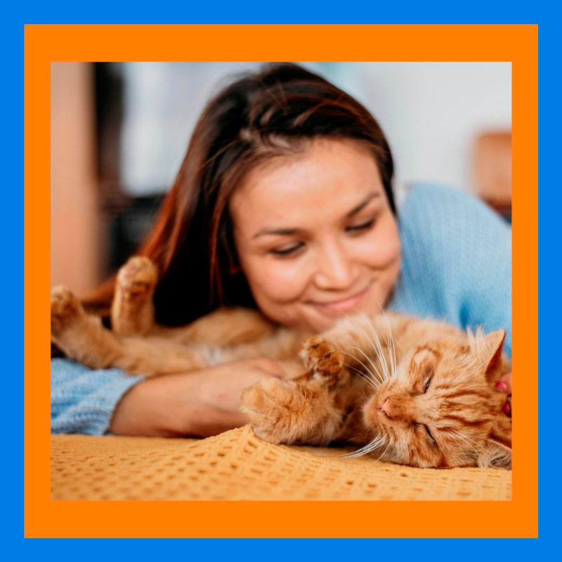 Entre poções e protocolos: o feitiço da coragem e da zona de conforto