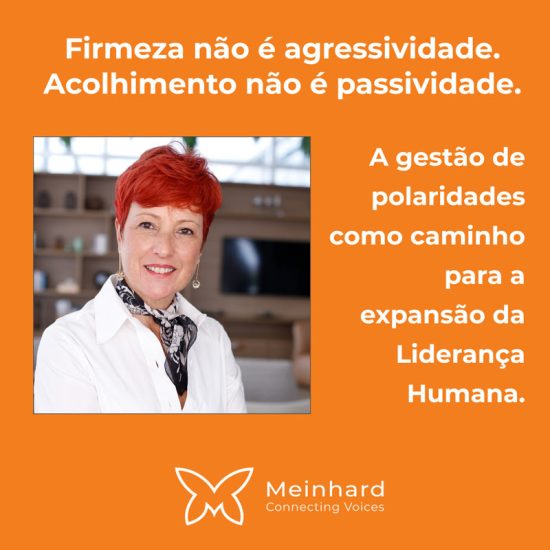 Liderança Humana e Cultura Organizacional: Como Integrar os Atributos do Feminino e do Masculino no C-Level