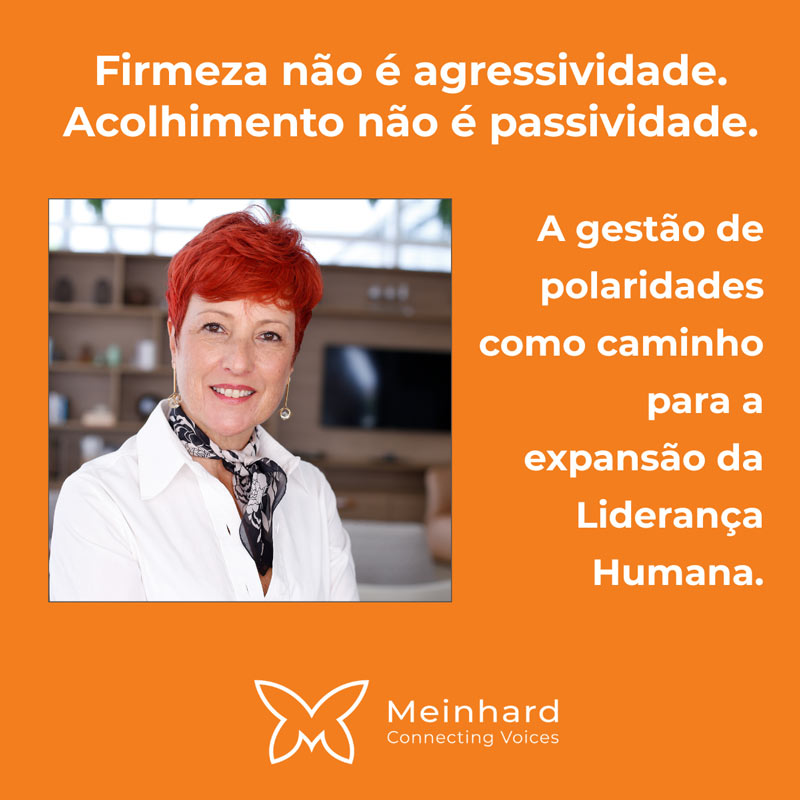 Liderança Humana e Cultura Organizacional: Como Integrar os Atributos do Feminino e do Masculino no C-Level